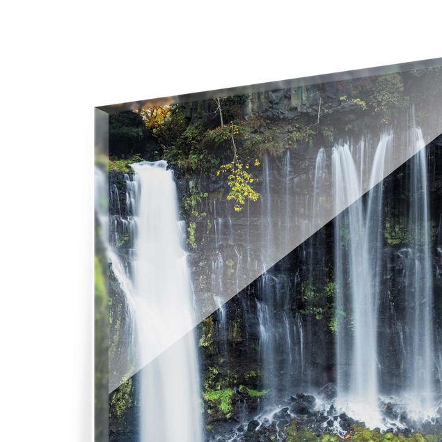 Wandbilder Glas Natur Shiraito Wasserfall