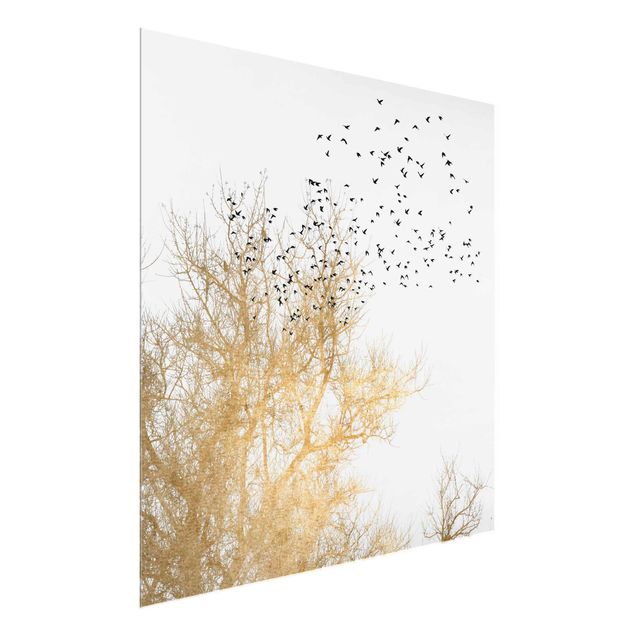 Wandbilder Glas Natur Vogelschwarm vor goldenem Baum