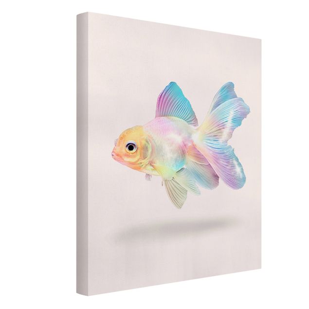 Kunstdruck Leinwand Fisch in Pastell