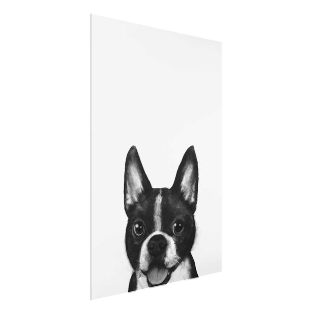 Glasbild schwarz-weiß Illustration Hund Boston Schwarz Weiß Malerei