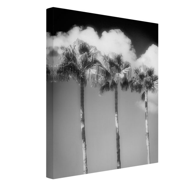 Blumenbilder auf Leinwand Palmen vor Himmel Schwarz-Weiß
