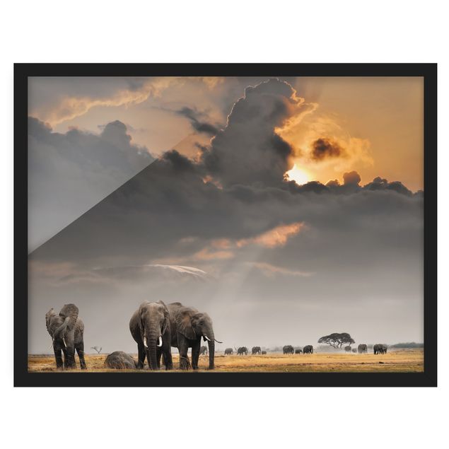 Landschaftsbilder mit Rahmen Elefanten der Savanne