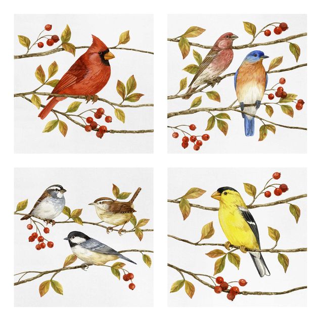 Leinwandbilder Tiere Vögel und Beeren Set II