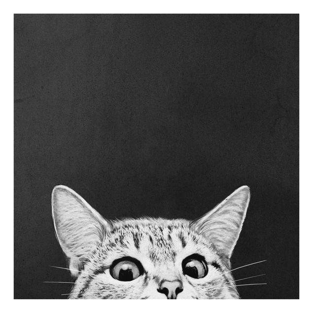 Glasbild schwarz-weiß Illustration Katze Schwarz Weiß Zeichnung
