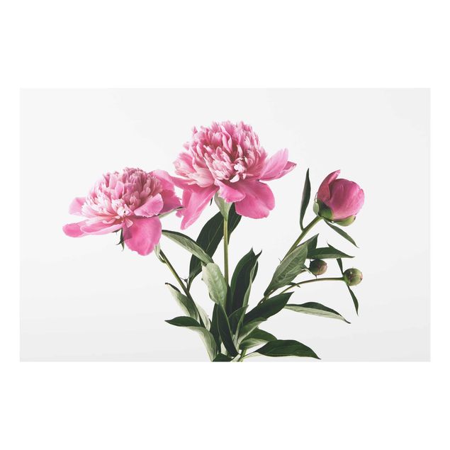 Wandbilder Floral Blüten und Knospen Pink auf Weiß