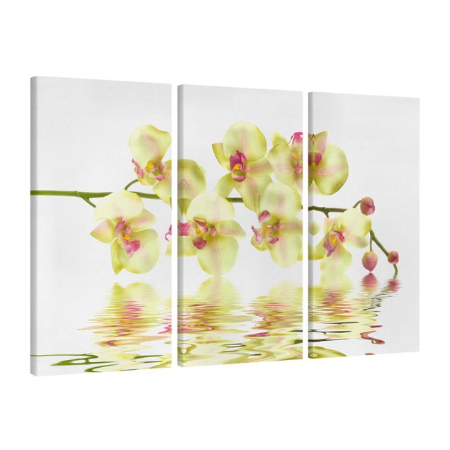 Blumenbilder auf Leinwand Dreamy Orchid Waters