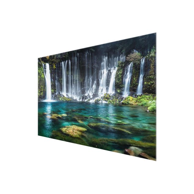 Wandbilder Dschungel Shiraito Wasserfall