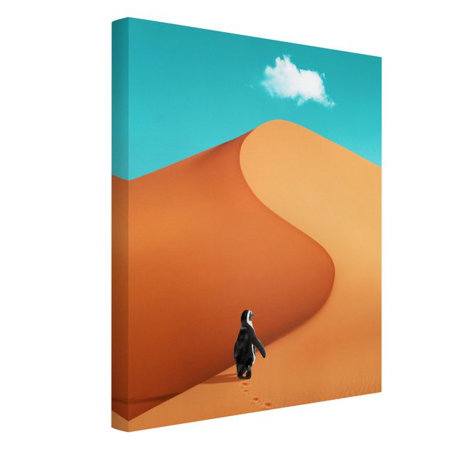 Wandbilder Landschaften Wüste mit Pinguin
