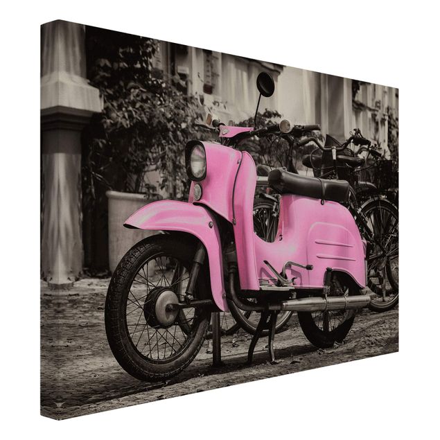 Wandbilder Modern Pinker Roller