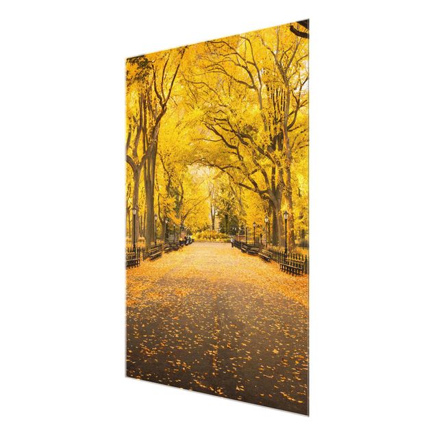 Wandbilder Modern Herbst im Central Park