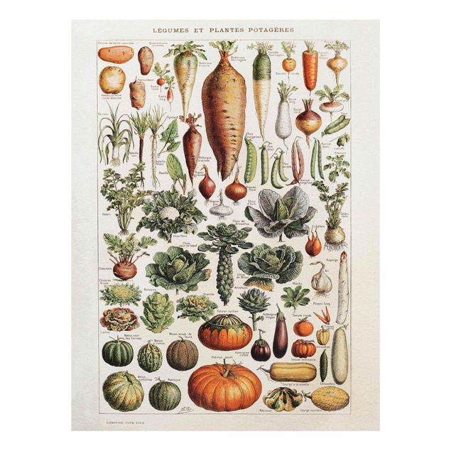 Wandbilder Grün Vintage Lehrtafel Gemüse