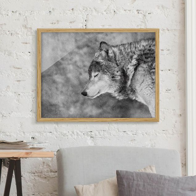 schwarz-weiß Bilder mit Rahmen Winter Wolf
