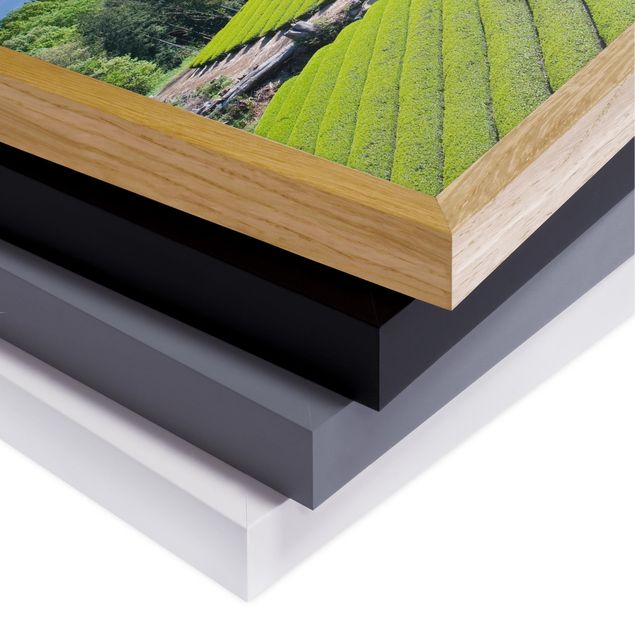 Landschaftsbilder mit Rahmen Teefelder vor dem Fuji