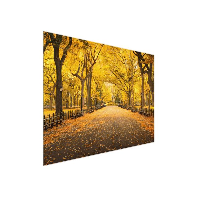 Glasbild Stadt Herbst im Central Park