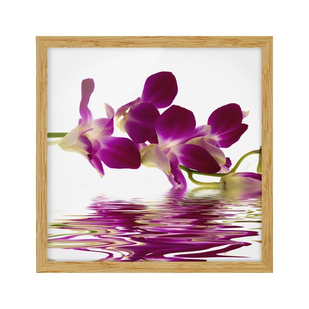 Wandbilder Floral Pink Orchid Waters