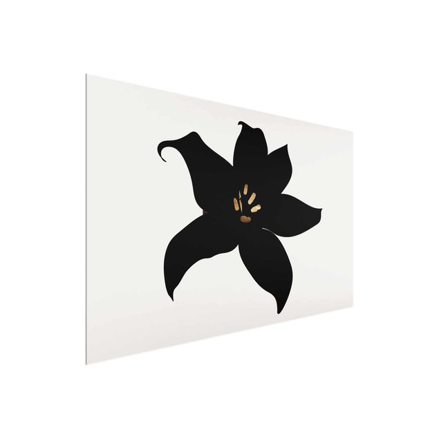 Wandbilder Fische Grafische Pflanzenwelt - Orchidee Schwarz und Gold