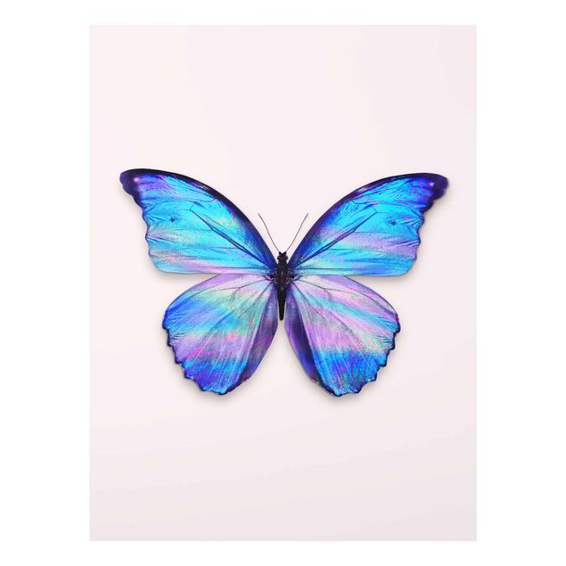 Glasbilder Tiere Holografischer Schmetterling