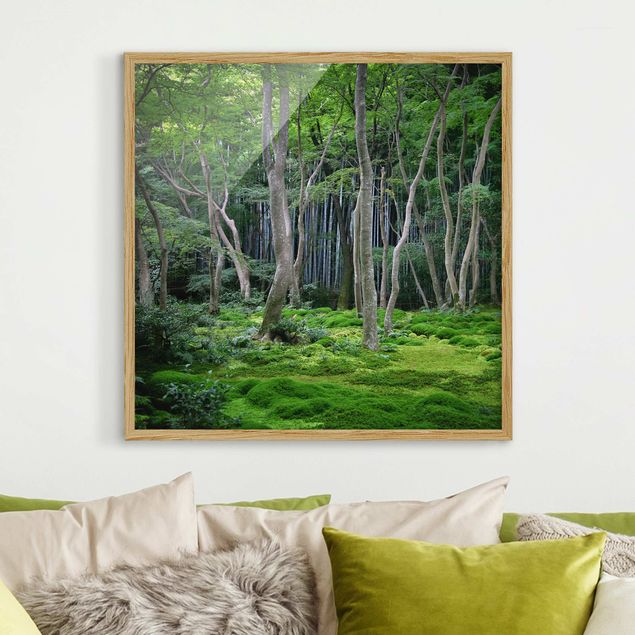 Wandbilder Bäume Japanischer Wald