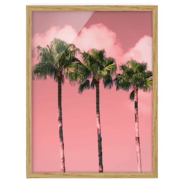 Wandbilder Floral Palmen vor Himmel Rosa