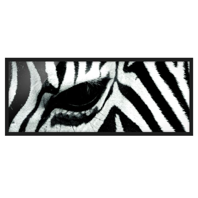Tierbilder mit Rahmen Zebra Crossing