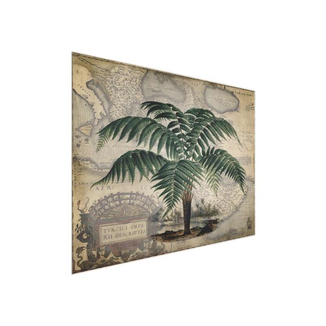 Wandbilder Floral Vintage Collage - Palme und Weltkarte