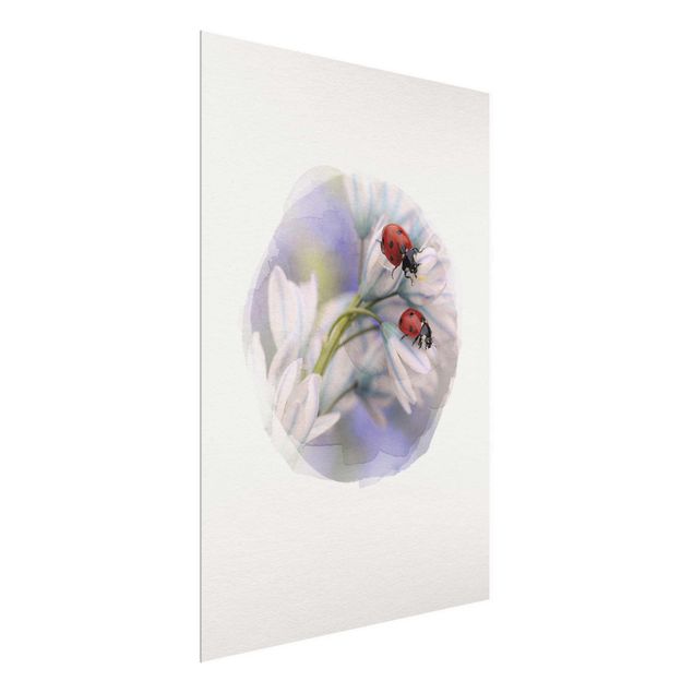 Wandbilder Floral Wasserfarben - Marienkäfer Paar