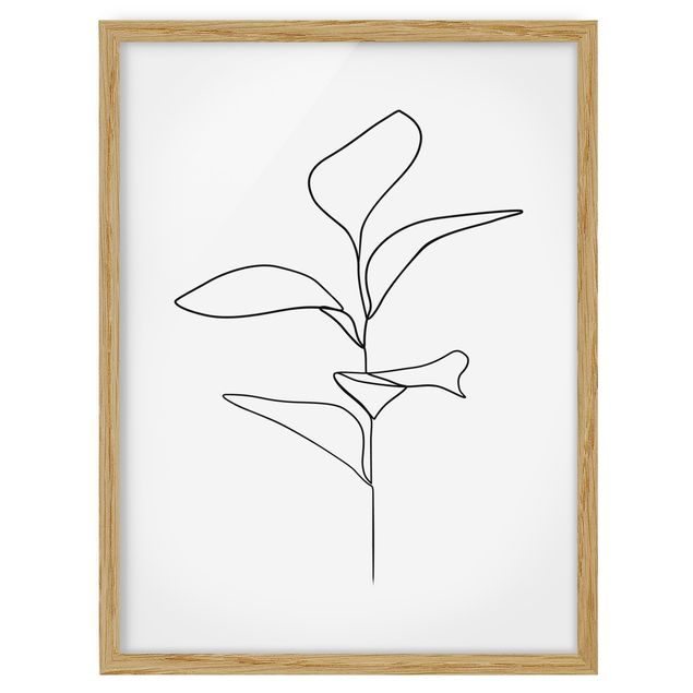 Blumenbilder mit Rahmen Line Art Pflanze Blätter Schwarz Weiß