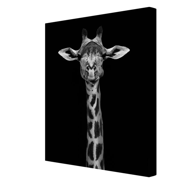 Wandbilder Afrika Dunkles Giraffen Portrait