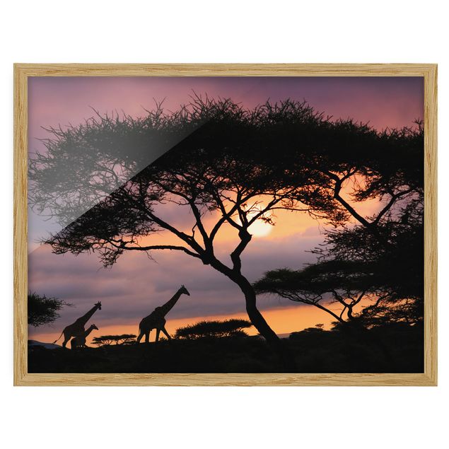 Landschaftsbilder mit Rahmen Safari in Afrika