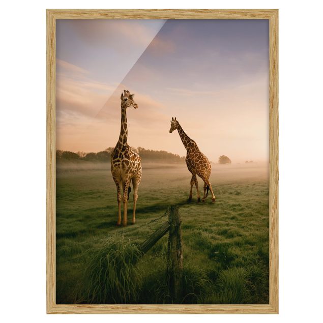 Landschaftsbilder gerahmt Surreal Giraffes