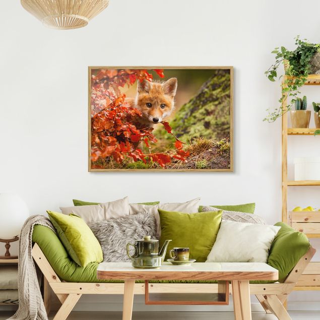 Wandbilder Landschaften Fuchs im Herbst