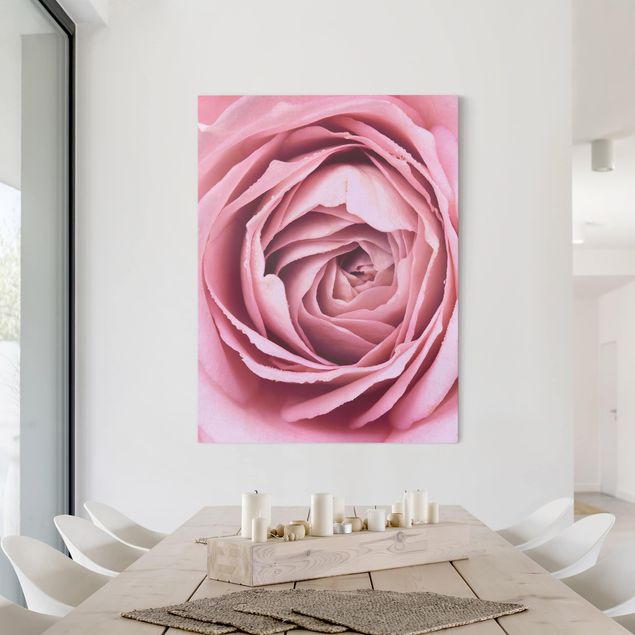 Leinwandbilder Rosen Rosa Rosenblüte