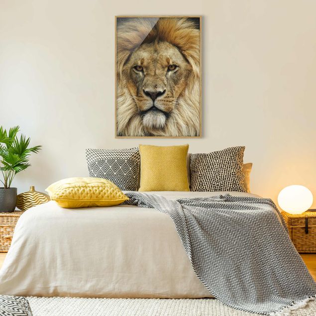 Gerahmte Bilder Tiere Wisdom of Lion