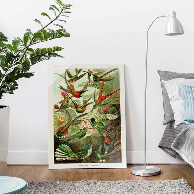 Wandbilder Floral Vintage Lehrtafel Kolibris