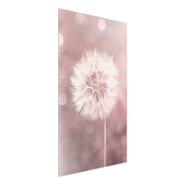 Wandbilder Floral Pusteblume Bokeh rosa