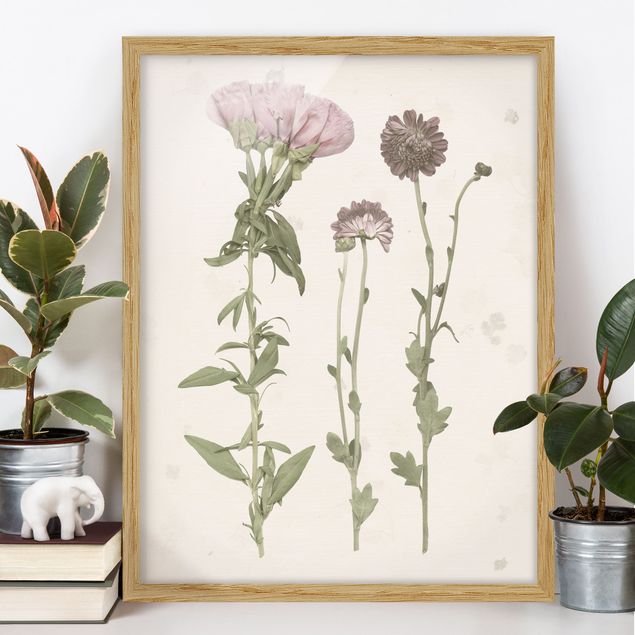 Wanddeko Küche Herbarium in rosa III