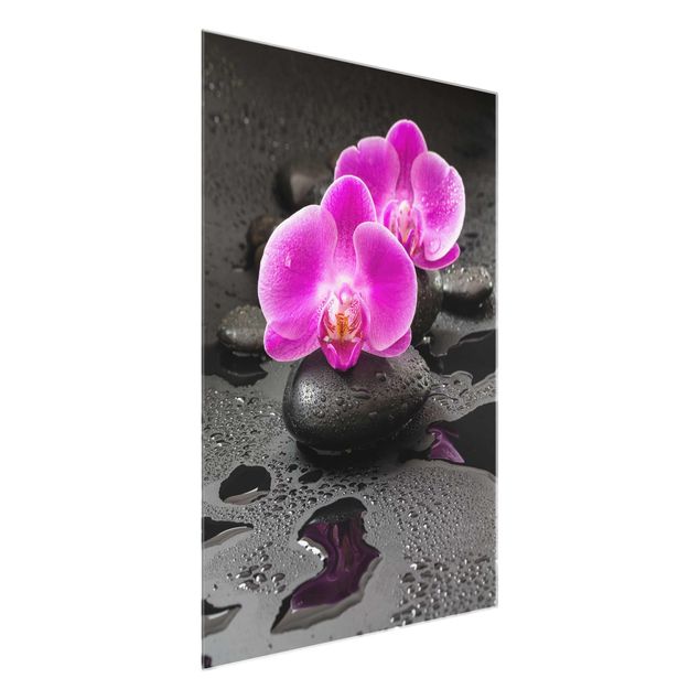 Blumen Glasbilder Pinke Orchideenblüten auf Steinen mit Tropfen