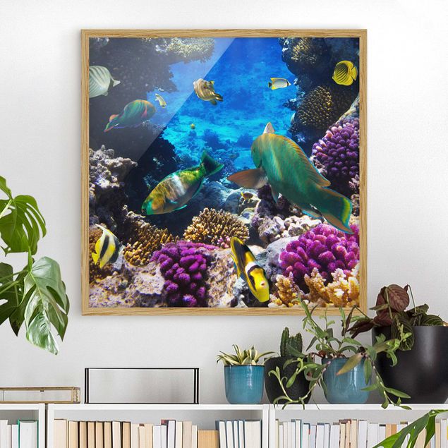 Strandbilder mit Rahmen Underwater Dreams