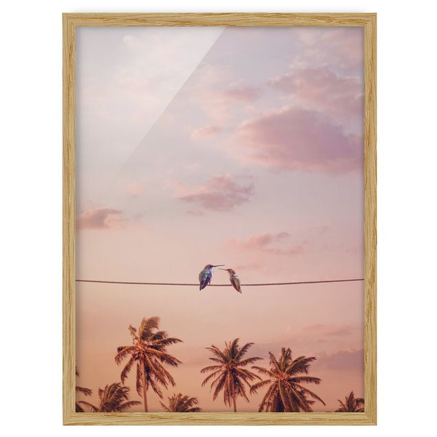Gerahmte Bilder Tiere Sonnenuntergang mit Kolibris