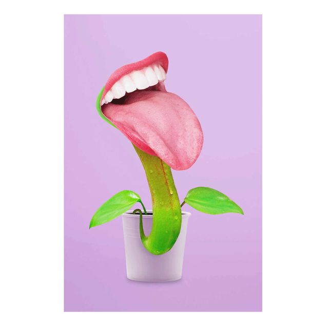 Wandbilder Blumen Fleischfressende Pflanze mit Mund