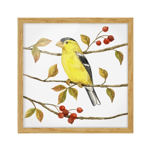 Wandbilder Retro Vögel und Beeren - Goldzeisig