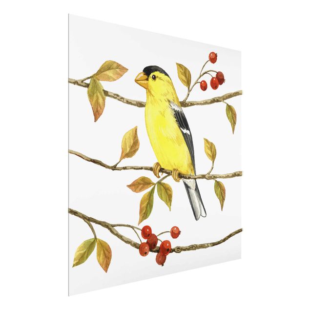 Wandbilder Retro Vögel und Beeren - Goldzeisig