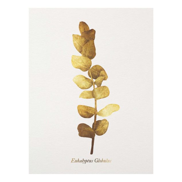 Wandbilder Blumen Gold - Eukalyptus
