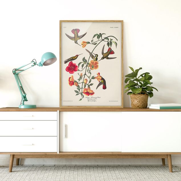 Wandbilder Floral Vintage Lehrtafel Mango Kolibris