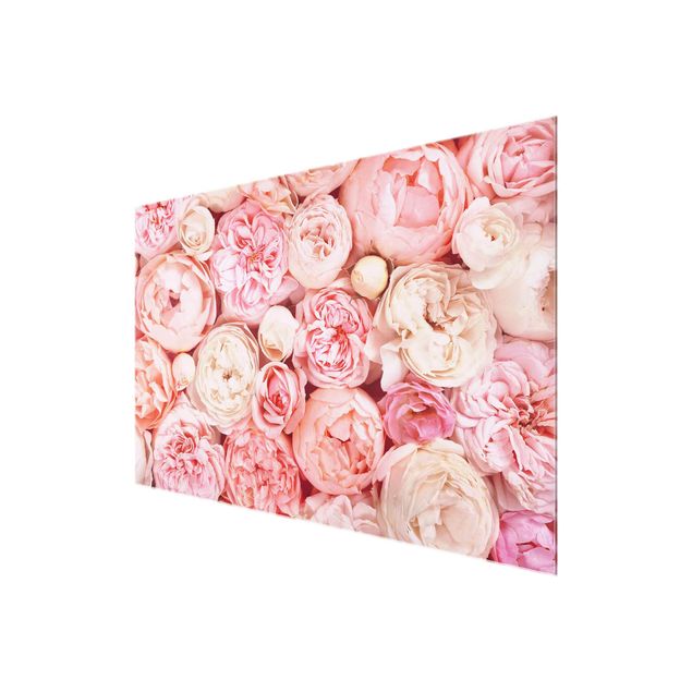 Wandbilder Blumen Rosen Rosé Koralle Shabby
