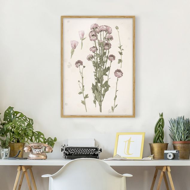 Wandbilder Floral Herbarium in rosa I