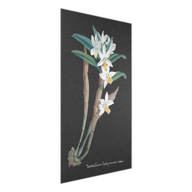 Glasbilder Blumen Motive Weiße Orchidee auf Leinen I
