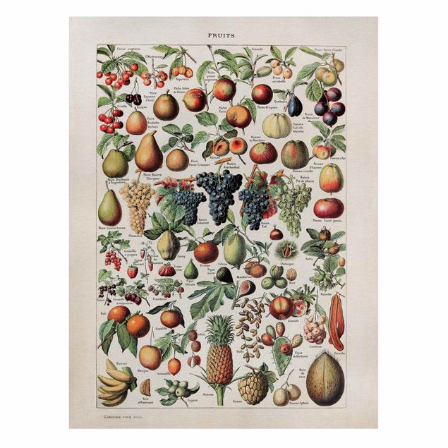 Leinwandbilder Gemüse & Obst Vintage Lehrtafel Früchte