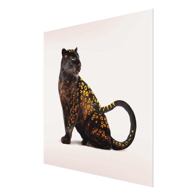 schöne Bilder Goldener Panther