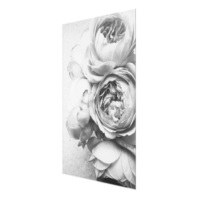 Wandbilder Floral Pfingstrosenblüten Schwarz Weiß